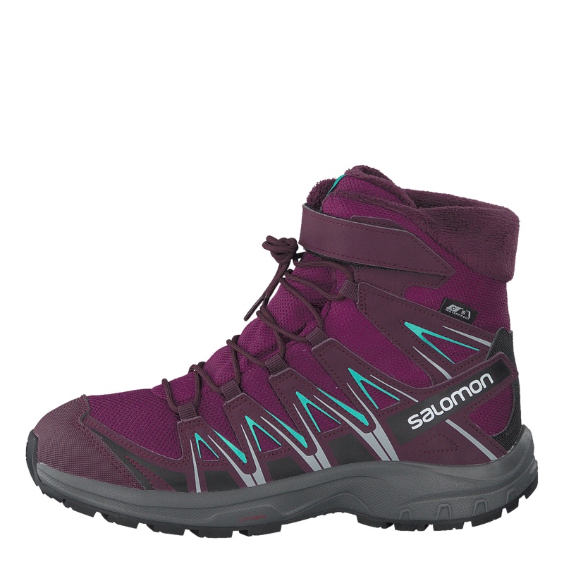 Xa Pro 3d Winter Ts Cswp J Darkpurple/potentpurple/atlant