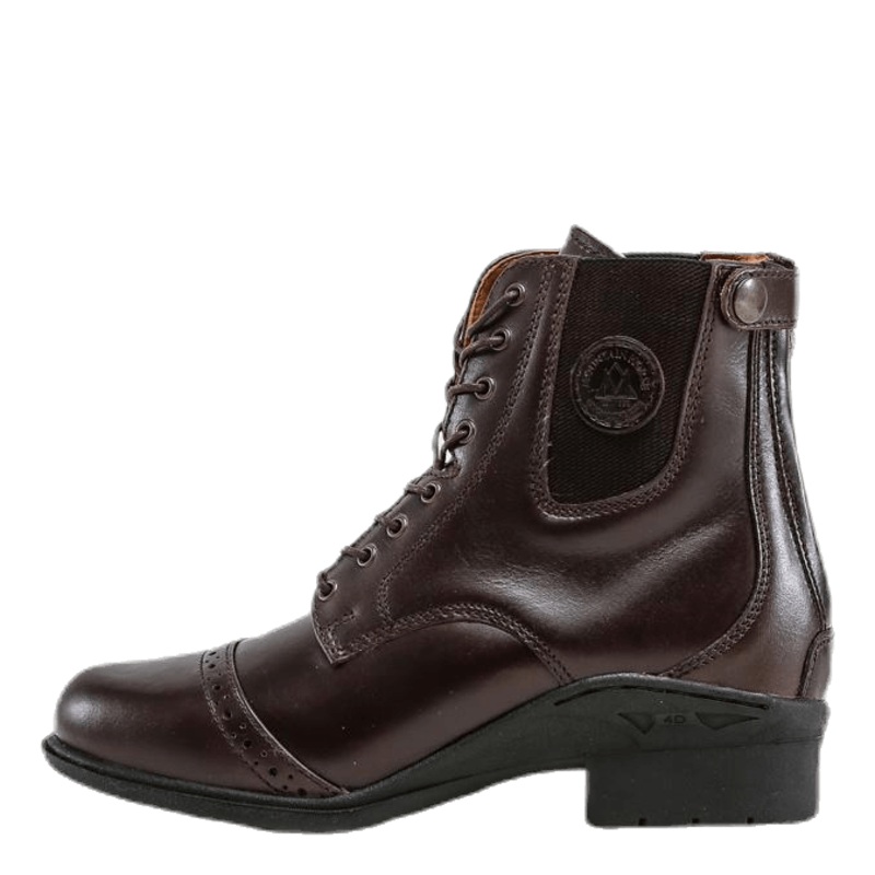 Aurora Back Zip Paddock Brown|EU 36|EU 37|EU 38|EU 39|EU 40|EU 41
