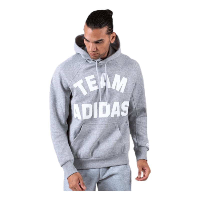 VRCT Hoodie Grey|S|M|XL