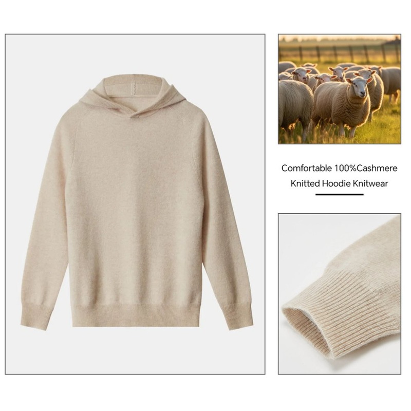 100% Cashmere Pullover Crew Neck Womens Knitted Sweater 2025 New Design Cashmere Sweater Soild Color – Hoodie and Knitted Hoodie price