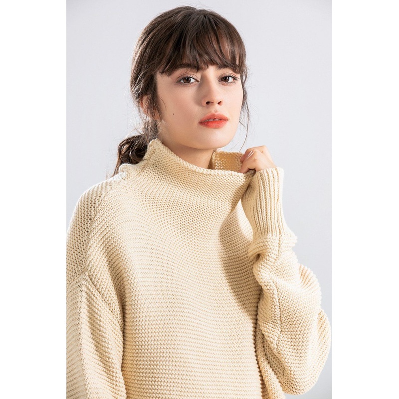 2025 Vintage Classic Fashion Wool Turtle Casual Pullover Sweater for Women Winter – Loose Sweater and Pullover Sweater price