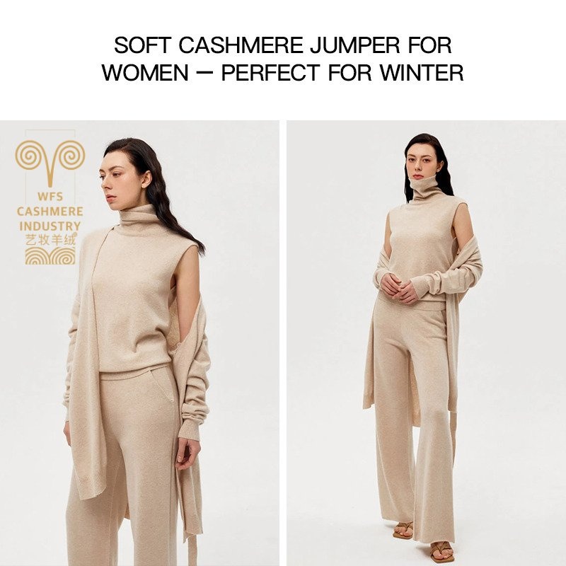 Cashmere Sweater Vest Turtleneck Sleeveless 100% Pure 2025 Custom Autumn Knit for Women Pullovers Computer Knitted Casual Short – Women Knitwear and Cashmere Sweater price