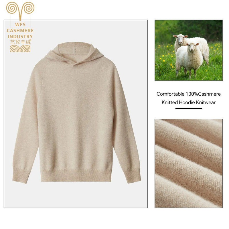 Oc06 2025 Autumn Winter Casual Cardigan for Women 100% Solid Color Hood Collar Pullover with Logo on Back Wool Sweater Outer Wear – Hoodie and Knitted Hoodie price