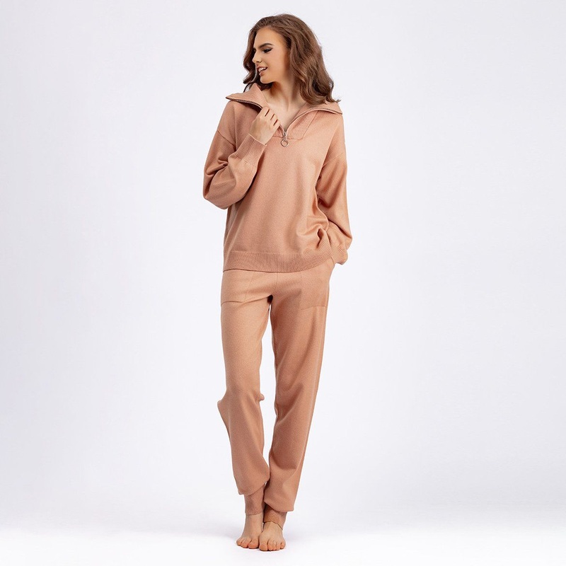 Autumn and Winter Two-Piece Zip-up Polo Neck Loose Long-Sleeved Hoody Women Sweater – Casual Apparel and Niche Design Clothes price
