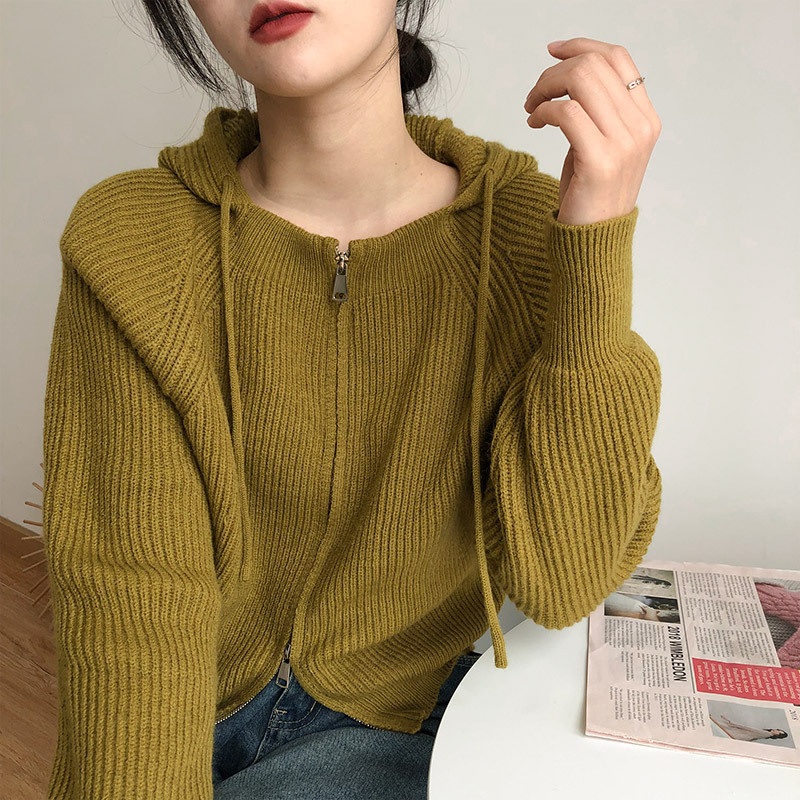 New Autumn and Winter Zipper Knitted Hooded Cardigan Solid Color Top – Ladies Sweater and Crochet Sweater price
