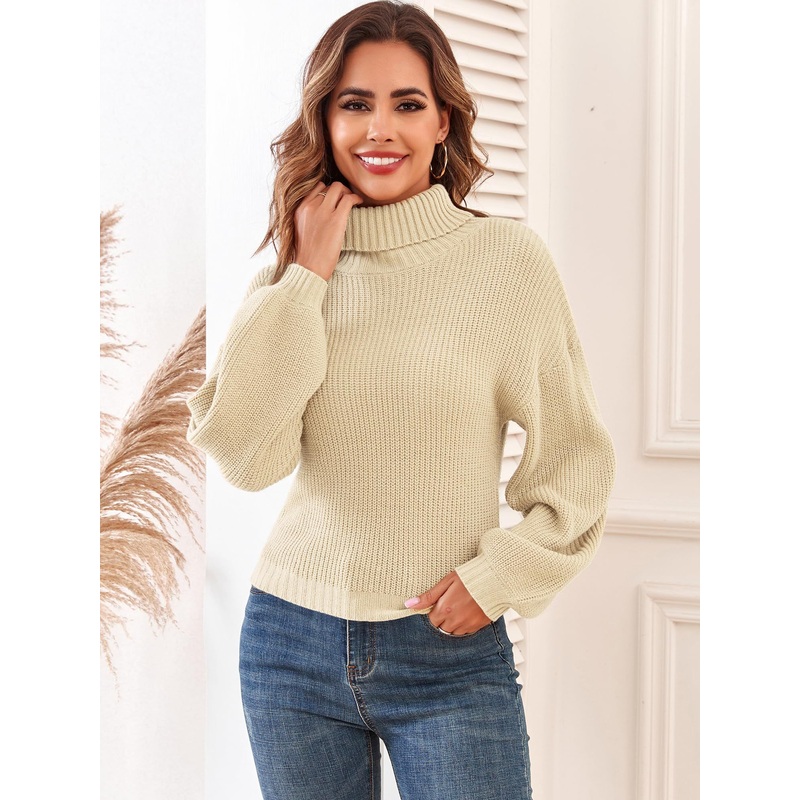 Top Fit Women Sweater Ladies Knit Sweater for Women – Sweater and Womens Sweaters price