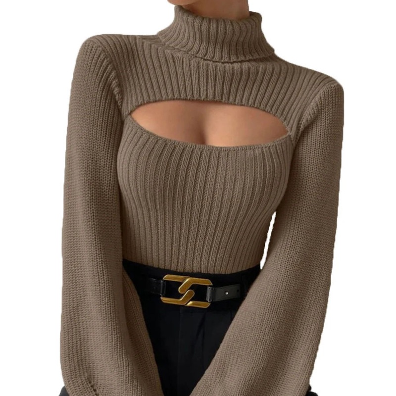 Sexy Spice Sweater Sense Turtleneck Womens Sweater Winter Pullover – Womens Pullover Sweater and New Design Sense Turtleneck Womens Sweater price